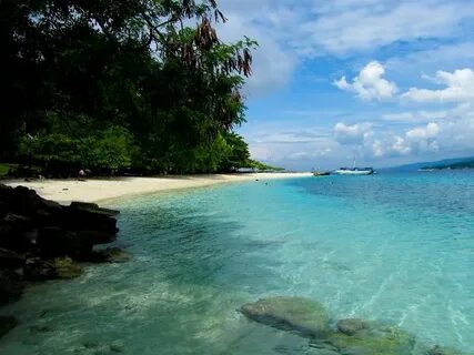 Palm-lined cove