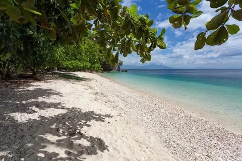 West coast shore · Samal